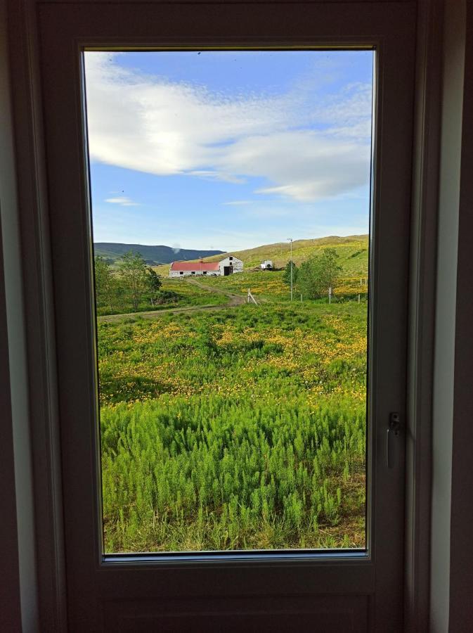 Engimyri Lodge Bagian luar foto