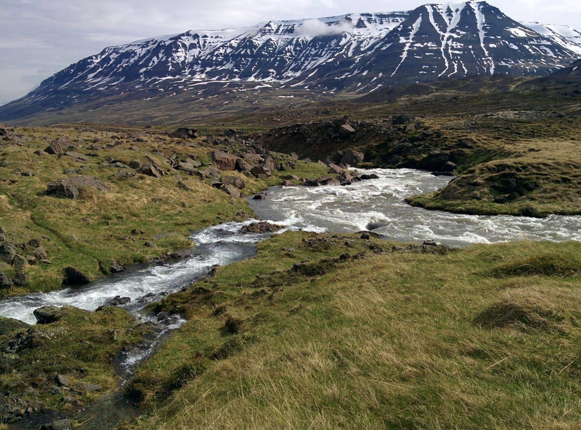 Engimyri Lodge Bagian luar foto